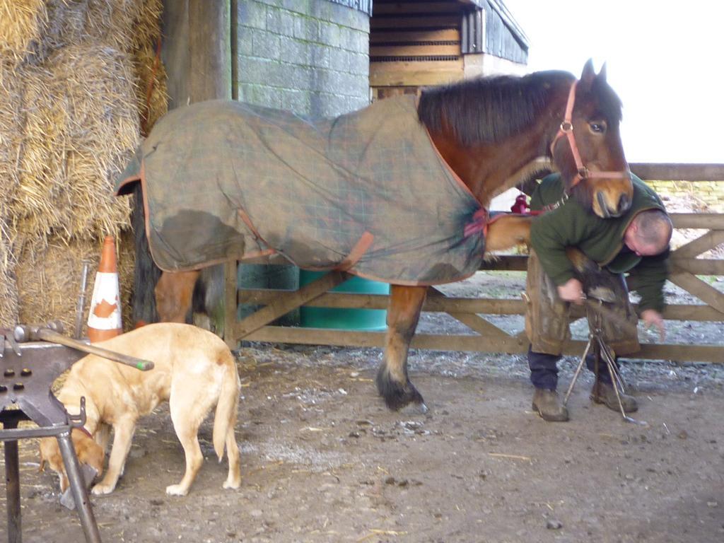 ヘクサム Rye Hill Farm Bed & Breakfast エクステリア 写真
