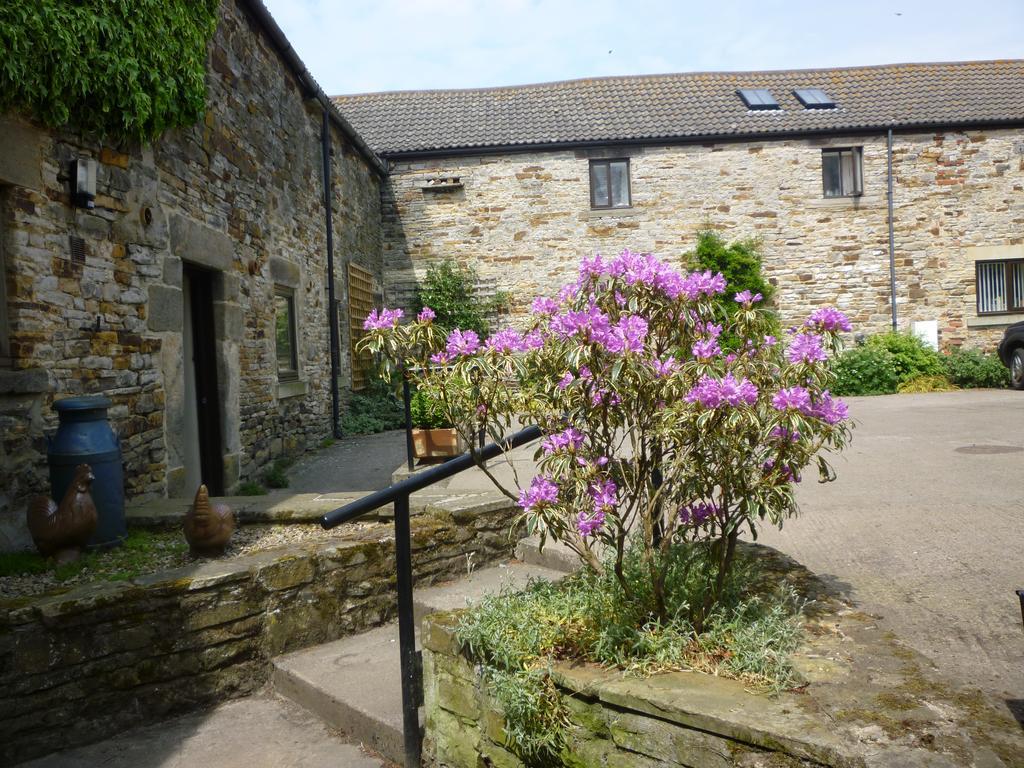 ヘクサム Rye Hill Farm Bed & Breakfast エクステリア 写真