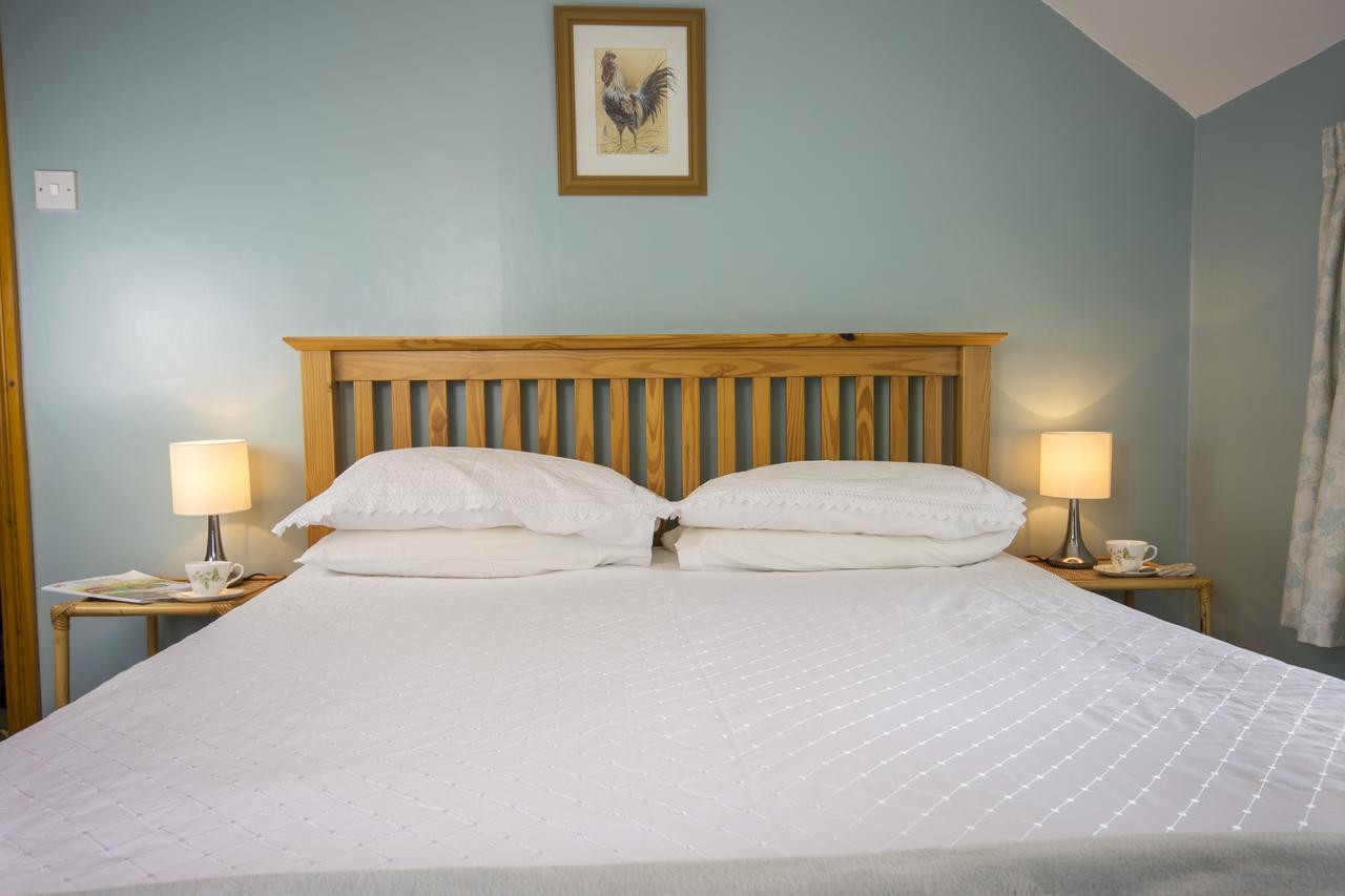ヘクサム Rye Hill Farm Bed & Breakfast エクステリア 写真